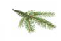 Bomba Doseadora de Essências para Banho a Vapor - IOT-POOL