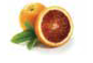 Bomba Doseadora de Essências para Banho a Vapor - IOT-POOL