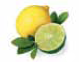 Bomba Doseadora de Essências para Banho a Vapor - IOT-POOL