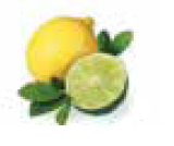 Bomba Doseadora de Essências para Banho a Vapor - IOT-POOL