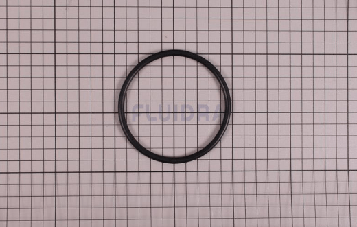 Modulo para eXO Dual Link e pH Link 2019 Zodiac - Recâmbios - IOT-POOL