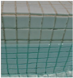 PM-655 COPPER OUT - Retira Cobre - IOT-POOL