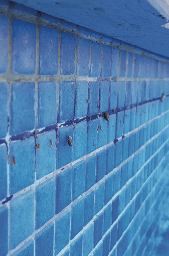 PM-655 COPPER OUT - Retira Cobre - IOT-POOL