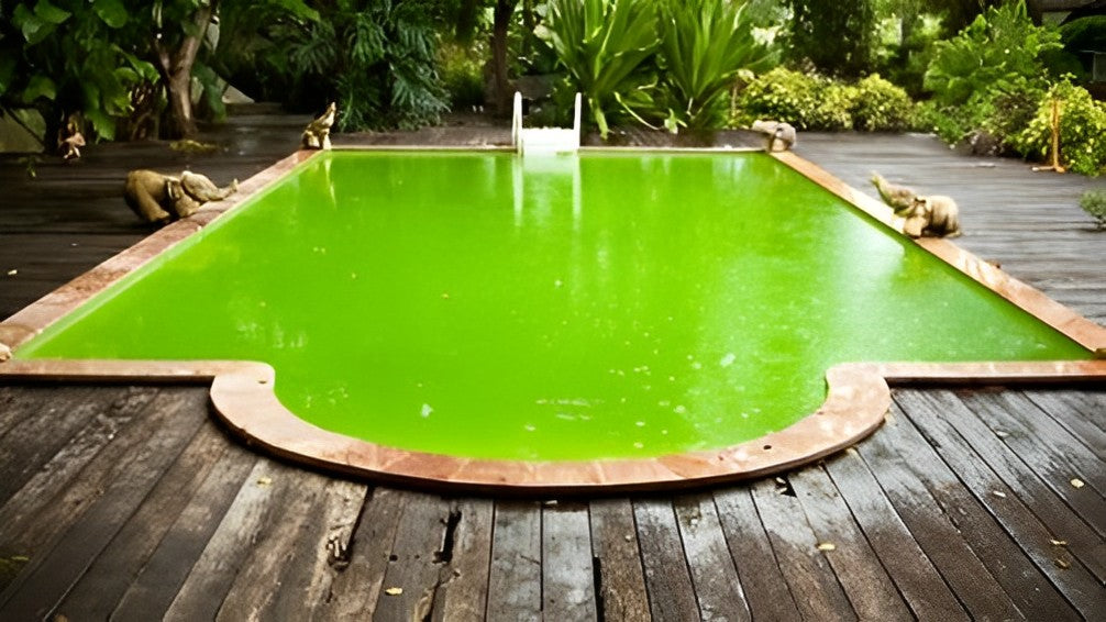 Tem água verde na sua piscina? Veja aqui a solução e tratamento
