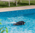Kit Aspirateur Robot AquaSense 2 Ultra Beatbot + Bouée de sauvetage Bcone pour piscine