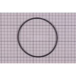 Sena Filterpumpe - Recambios