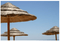 Chapéu de Colmo 1 Poste - IOT-POOL