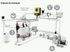 ECOPOOL® FX KRAKEN . HIDROLIFE SugarValley/Hayward exo iq - IOT-POOL