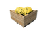 Floreira de Canto em Madeira - IOT-POOL