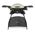 Grelhador a gás Weber Q 2000 - IOT-POOL