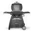 Grelhador a gás Weber Q 3200 Black  - com grelha - IOT-POOL