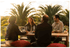 Mesa de Madeira Estoril - IOT-POOL