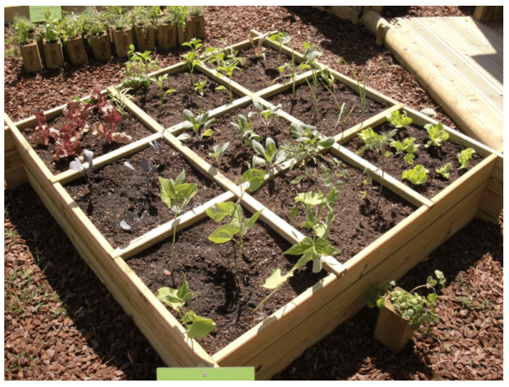 Mini Horta de Madeira Urbana - IOT-POOL