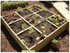 Mini Horta de Madeira Urbana - IOT-POOL