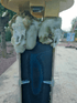 PM-695 SAVE-CELL - Salt Electrolysis Protector