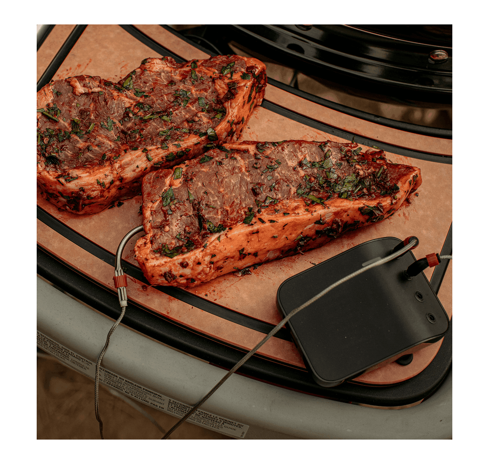 Suporte reversível Prep & Serve para o Weber Traveler - IOT-POOL