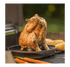 Suportes de Barbecue - IOT-POOL