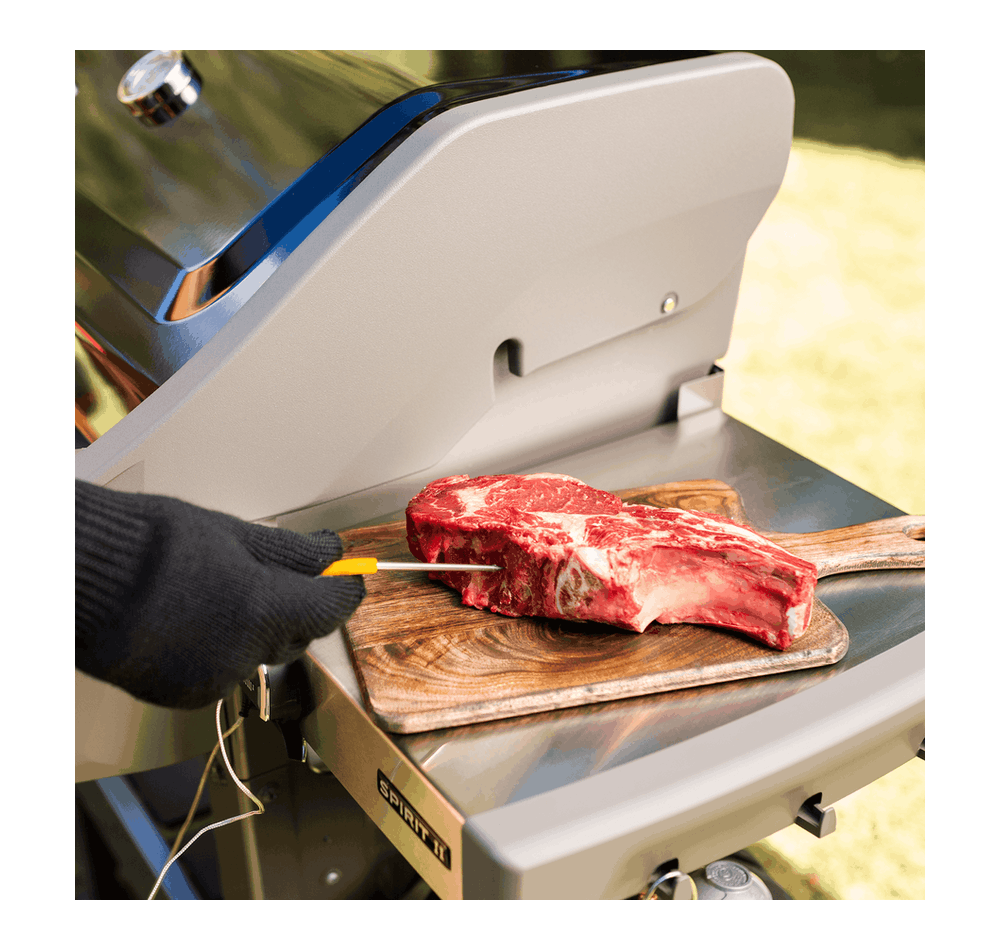 Termómetro Weber iGrill Mini - IOT-POOL