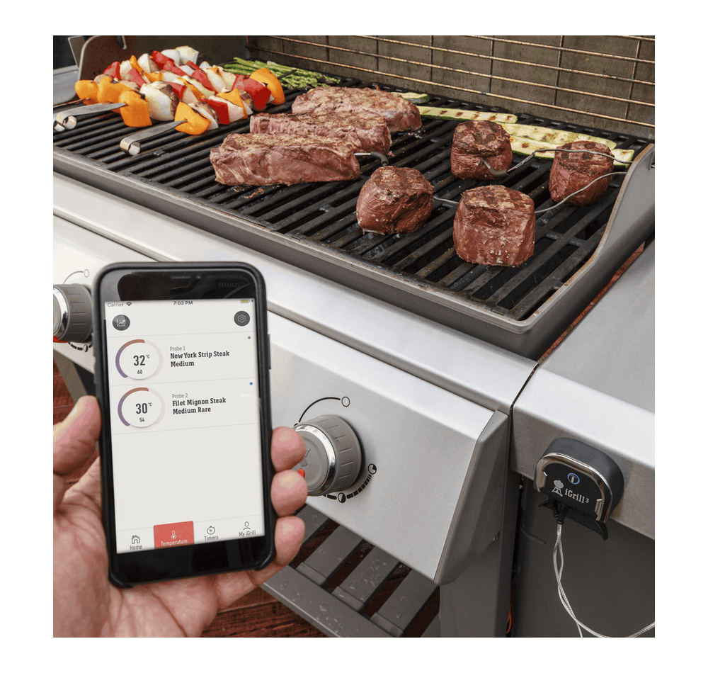 Termómetro Weber iGrill Mini - IOT-POOL
