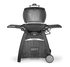 Griglia a gas nera Weber Q 3200 - con griglia