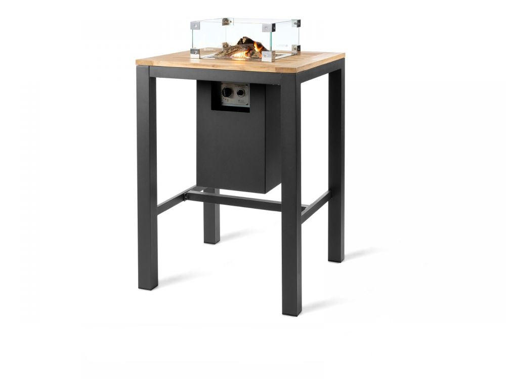 Bartable Gas Fireplace
