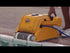 Electric Pool Cleaner for funds DOLPHIN PRO X2